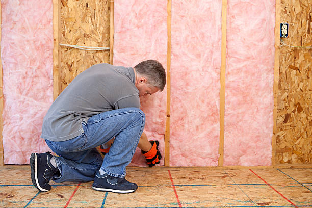 Best Spray Foam Insulation  in Dillingham, AK