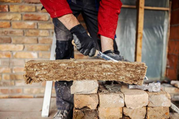 Best Garage Insulation Installation  in Dillingham, AK