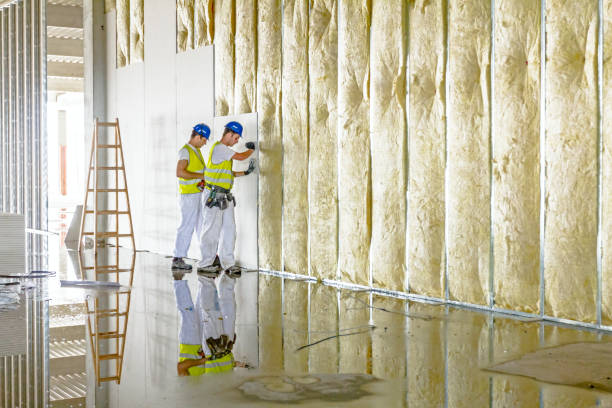 Best Best Insulation Companies  in Dillingham, AK